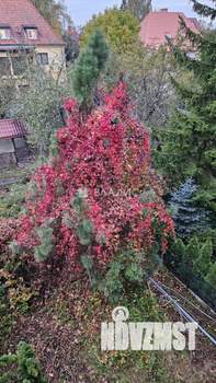 5-к квартира, вторичка, 188м2, 1/3 этаж