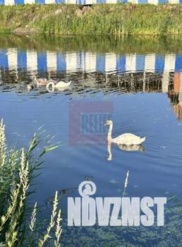 1-к квартира, вторичка, 33м2, 3/9 этаж