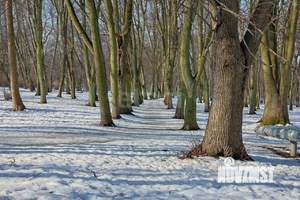 3-к квартира, вторичка, 61м2, 3/5 этаж