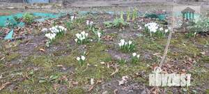 2-к квартира, вторичка, 45м2, 1/4 этаж