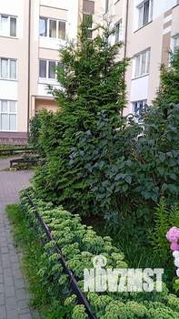 1-к квартира, вторичка, 39м2, 8/8 этаж