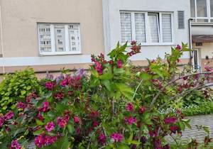 2-к квартира, вторичка, 65м2, 2/9 этаж