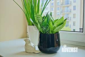 Студия квартира, вторичка, 44м2, 3/7 этаж