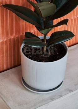 1-к квартира, вторичка, 32м2, 1/3 этаж