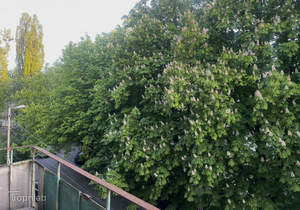 1-к квартира, вторичка, 34м2, 3/5 этаж