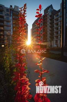 1-к квартира, вторичка, 56м2, 8/9 этаж