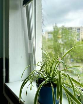 1-к квартира, вторичка, 35м2, 3/5 этаж
