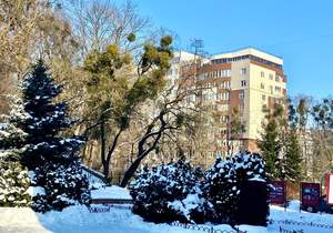 1-к квартира, вторичка, 49м2, 3/10 этаж