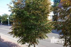 3-к квартира, вторичка, 59м2, 2/5 этаж