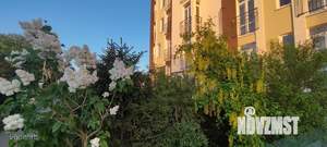 3-к квартира, вторичка, 80м2, 1/8 этаж