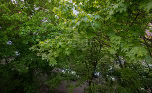 3-к квартира, вторичка, 64м2, 5/5 этаж