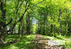 4-к квартира, вторичка, 148м2, 3/3 этаж