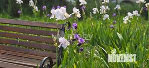 1-к квартира, вторичка, 48м2, 7/9 этаж