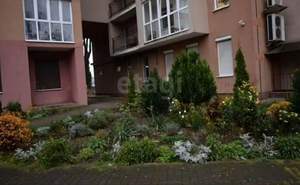 Студия квартира, вторичка, 25м2, 11/11 этаж