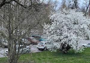 3-к квартира, вторичка, 44м2, 2/4 этаж