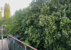 1-к квартира, вторичка, 34м2, 3/5 этаж