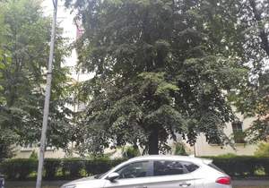 2-к квартира, вторичка, 55м2, 2/4 этаж