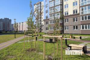 3-к квартира, вторичка, 82м2, 7/10 этаж