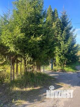 2-к квартира, вторичка, 35м2, 2/2 этаж